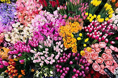 《雨中冒险2：风暴探寻者》DLC大厨角色演示 8月27日发售